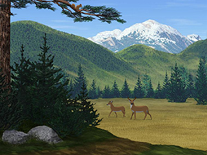 Living Wilderness Screensaver